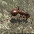 3D蚂蚁模拟器中文版